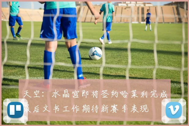 天空：水晶宫即将签约哈莱利完成最后文书工作期待新赛季表现