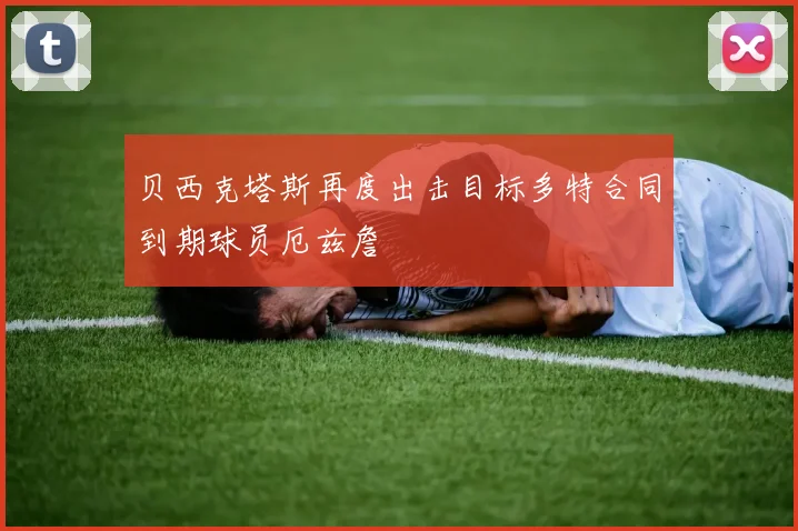 贝西克塔斯再度出击目标多特合同到期球员厄兹詹