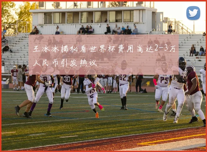 王冰冰揭秘看世界杯费用高达2-3万人民币引发热议